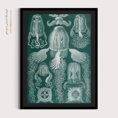 تابلو جانوران دریایی - اسپو دکور