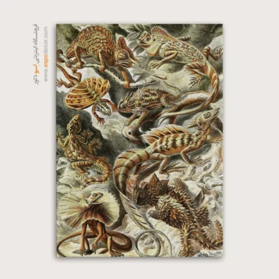 تابلو جانوران دریایی - اسپو دکور