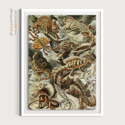 تابلو جانوران دریایی - اسپو دکور