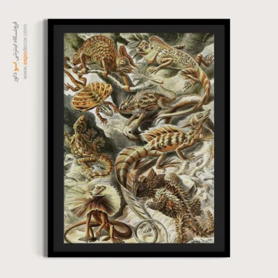 تابلو جانوران دریایی - اسپو دکور