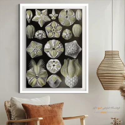 تابلو جانوران دریایی - اسپو دکور