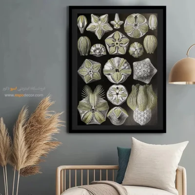 تابلو جانوران دریایی - اسپو دکور