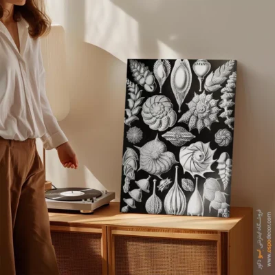 تابلو جانوران دریایی - اسپو دکور