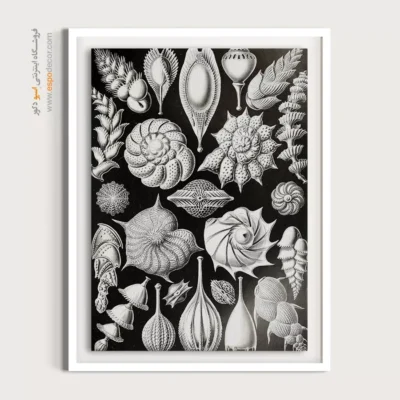 تابلو جانوران دریایی - اسپو دکور