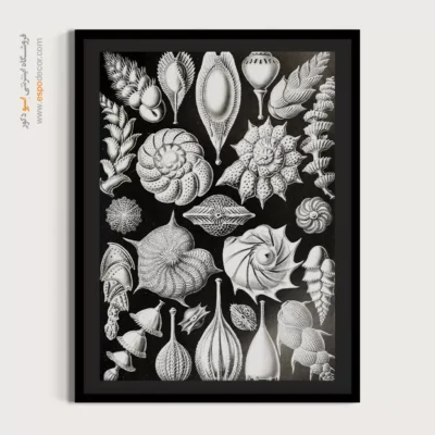 تابلو جانوران دریایی - اسپو دکور