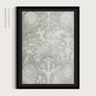 تابلو جانوران دریایی - اسپو دکور