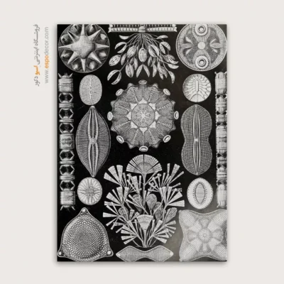 تابلو جانوران دریایی - اسپو دکور