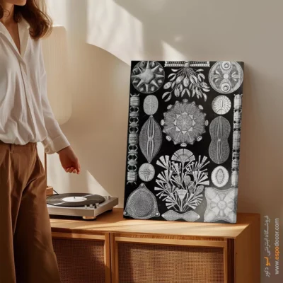 تابلو جانوران دریایی - اسپو دکور