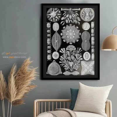 تابلو جانوران دریایی - اسپو دکور