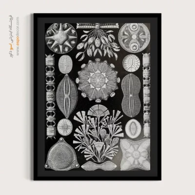 تابلو جانوران دریایی - اسپو دکور