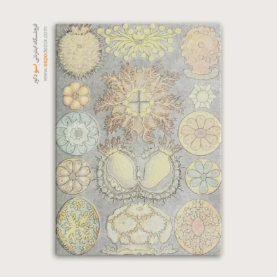 تابلو جانوران دریایی - اسپو دکور