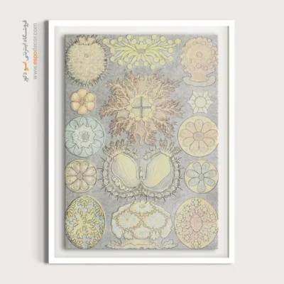 تابلو جانوران دریایی - اسپو دکور