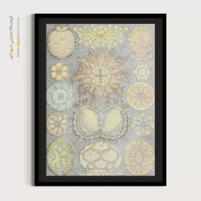 تابلو جانوران دریایی - اسپو دکور