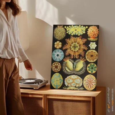 تابلو جانوران دریایی - اسپو دکور