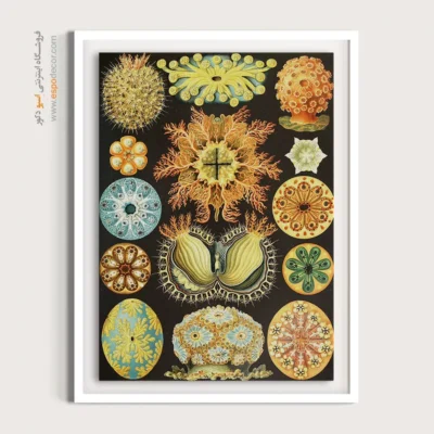 تابلو جانوران دریایی - اسپو دکور