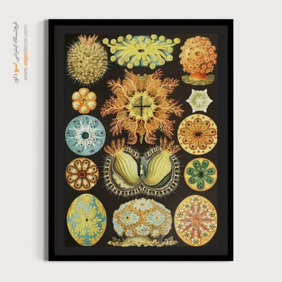 تابلو جانوران دریایی - اسپو دکور