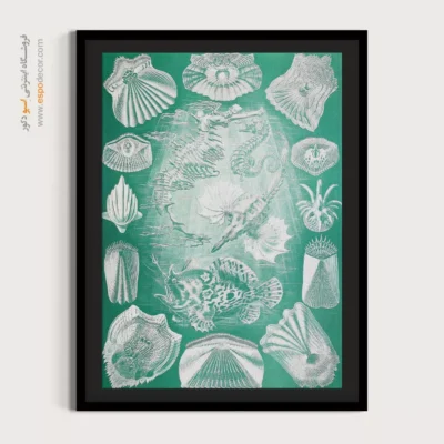 تابلو جانوران دریایی - اسپو دکور