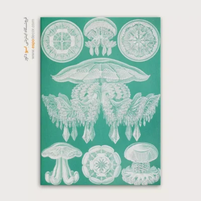 تابلو جانوران دریایی - اسپو دکور