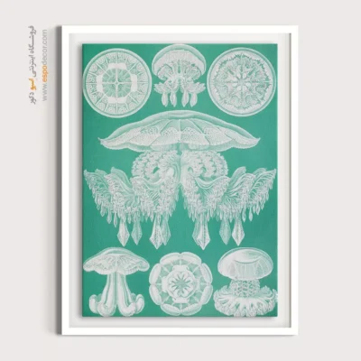 تابلو جانوران دریایی - اسپو دکور