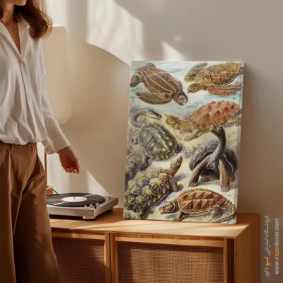 تابلو جانوران دریایی - اسپو دکور