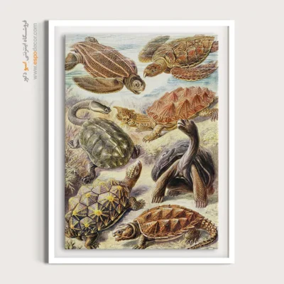 تابلو جانوران دریایی - اسپو دکور