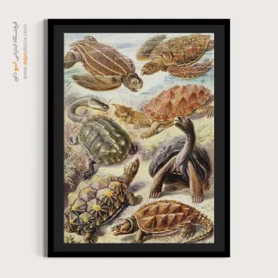 تابلو جانوران دریایی - اسپو دکور