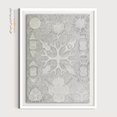 تابلو جانوران دریایی - اسپو دکور