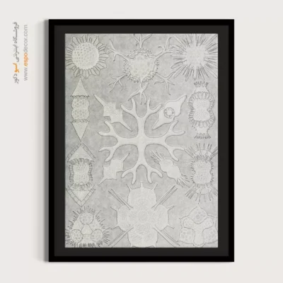 تابلو جانوران دریایی - اسپو دکور