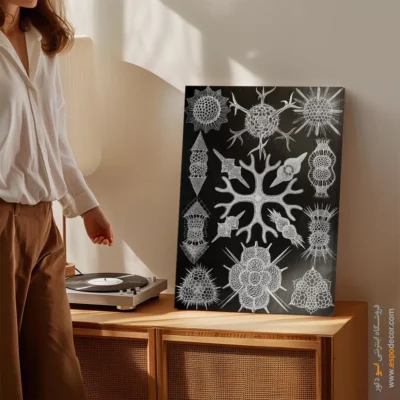 تابلو جانوران دریایی - اسپو دکور