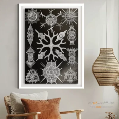 تابلو جانوران دریایی - اسپو دکور