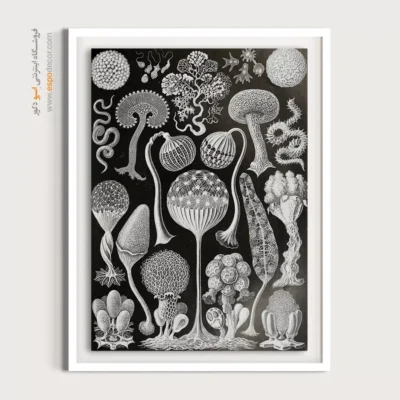 تابلو جانوران دریایی - اسپو دکور