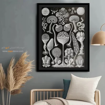 تابلو جانوران دریایی - اسپو دکور