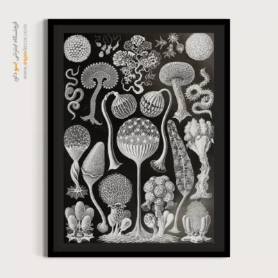 تابلو جانوران دریایی - اسپو دکور