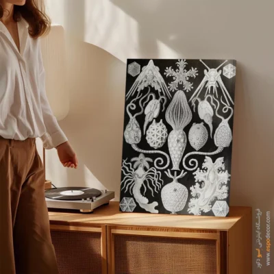 تابلو جانوران دریایی - اسپو دکور