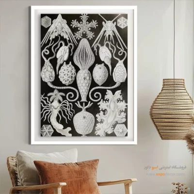 تابلو جانوران دریایی - اسپو دکور