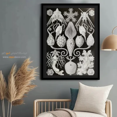 تابلو جانوران دریایی - اسپو دکور