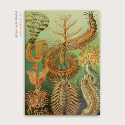 تابلو جانوران دریایی - اسپو دکور