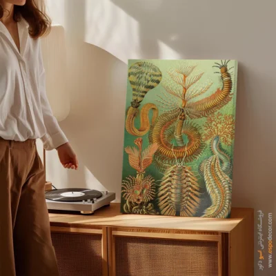 تابلو جانوران دریایی - اسپو دکور