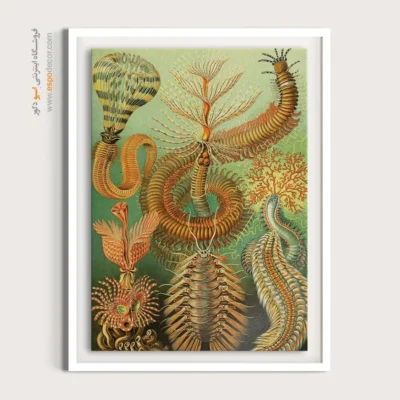 تابلو جانوران دریایی - اسپو دکور