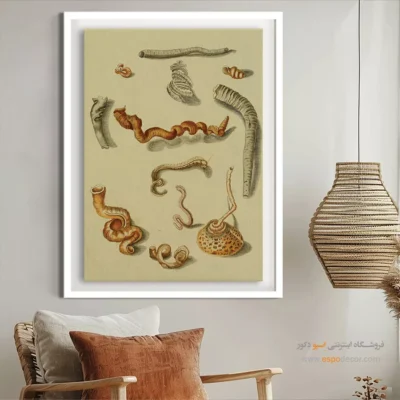 تابلو جانوران دریایی - اسپو دکور