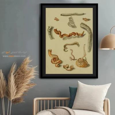 تابلو جانوران دریایی - اسپو دکور