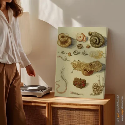 تابلو جانوران دریایی - اسپو دکور