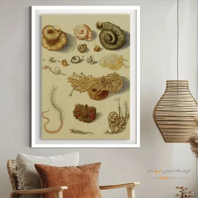 تابلو جانوران دریایی - اسپو دکور