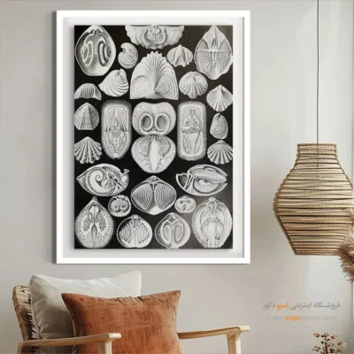 تابلو جانوران دریایی - اسپو دکور