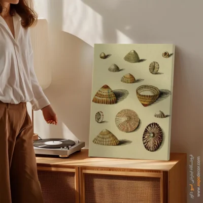 تابلو جانوران دریایی - اسپو دکور