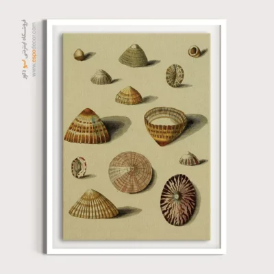 تابلو جانوران دریایی - اسپو دکور