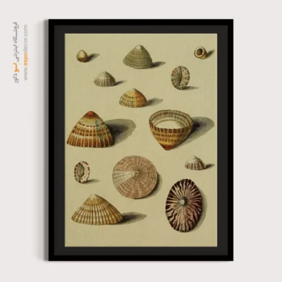 تابلو جانوران دریایی - اسپو دکور