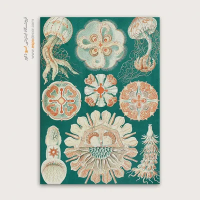 تابلو جانوران دریایی - اسپو دکور