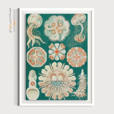 تابلو جانوران دریایی - اسپو دکور