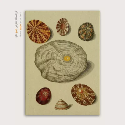 تابلو جانوران دریایی - اسپو دکور